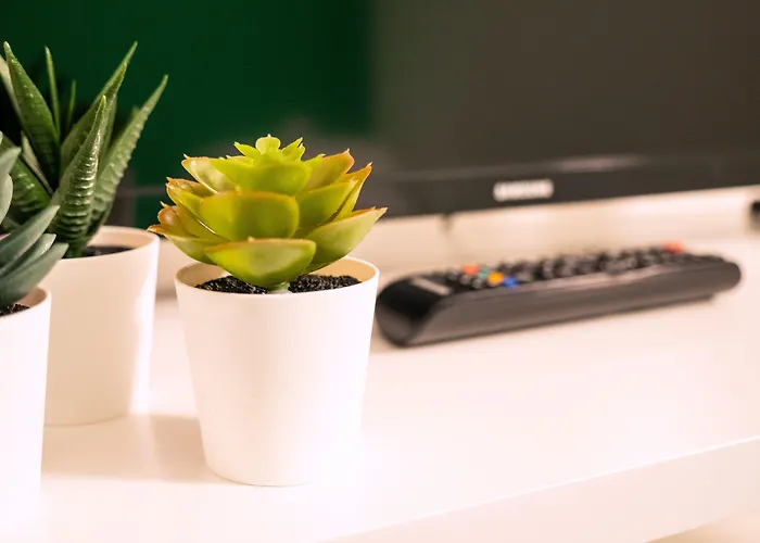 Blocco Sauli ゲストハウス 4*